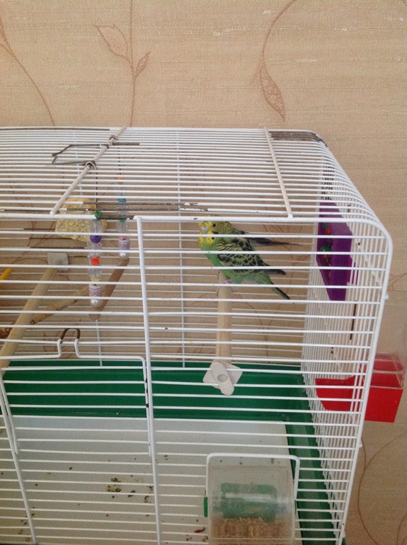 подскажите врача!!! SOS!