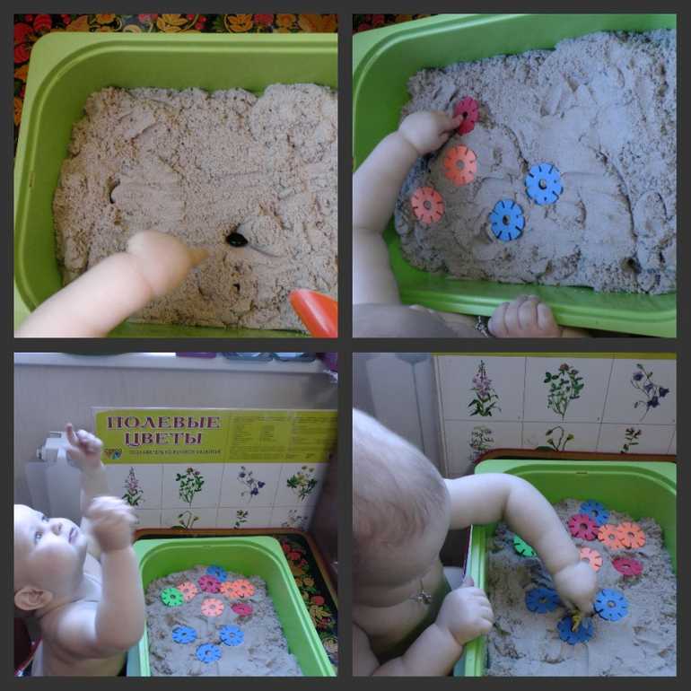 ТН "Как растут овощи"