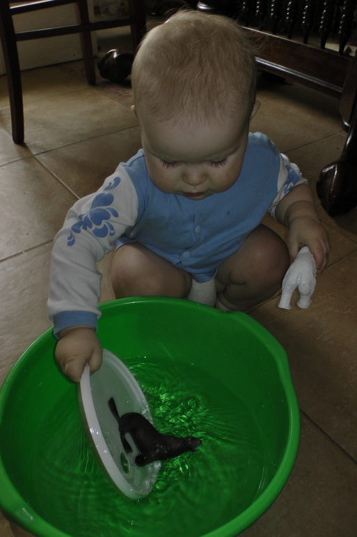 ТД "Медвежата"