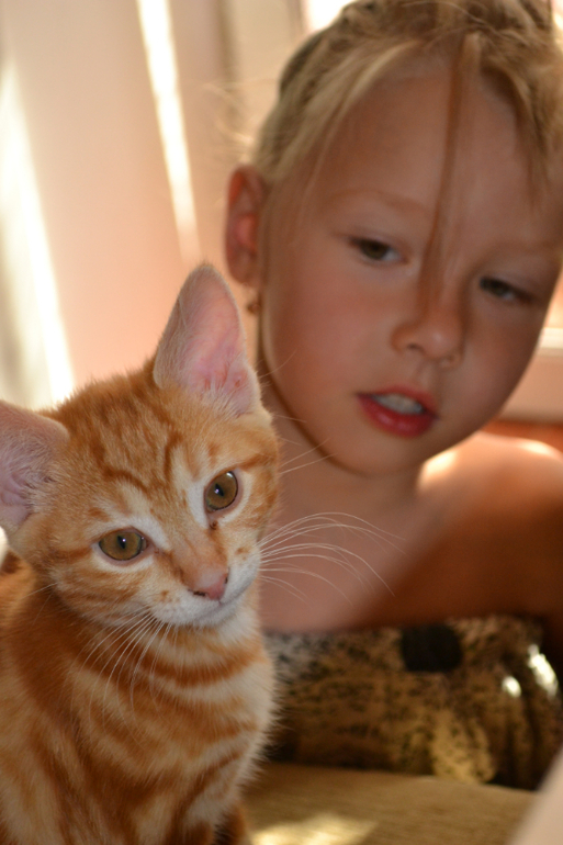 Долгожданный Оскар