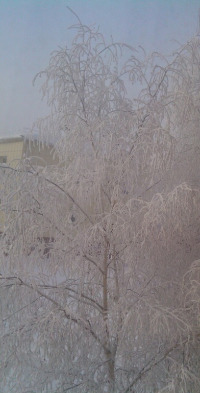 Прелести мороза