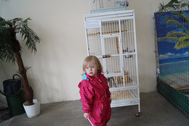 Выставка животных, неоднозначное мнение