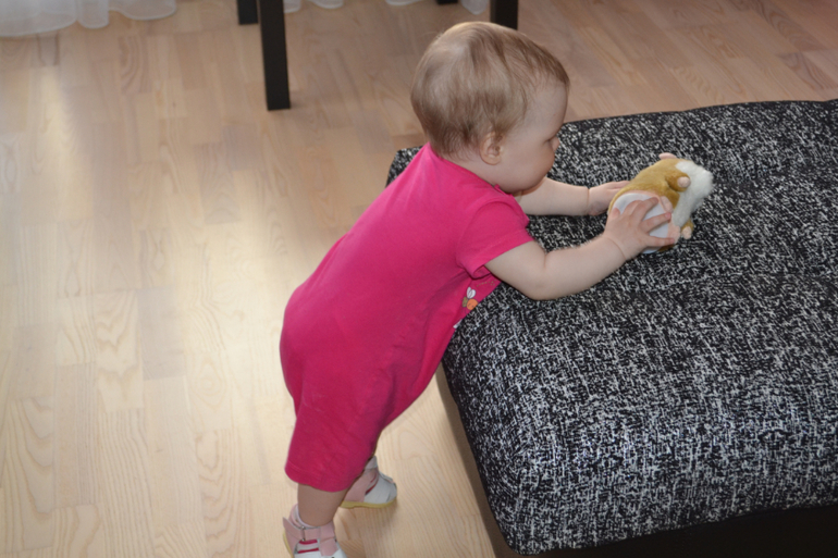 хомяк и туфли)))