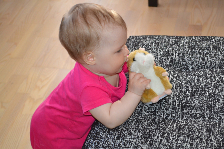 хомяк и туфли)))