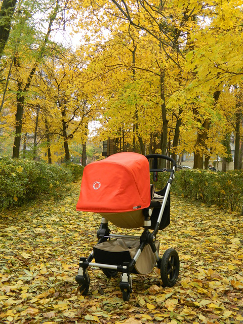 Наш колясопарк в формате Light , не считая дачный танк )))