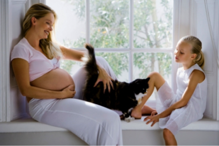 Животные и беременность