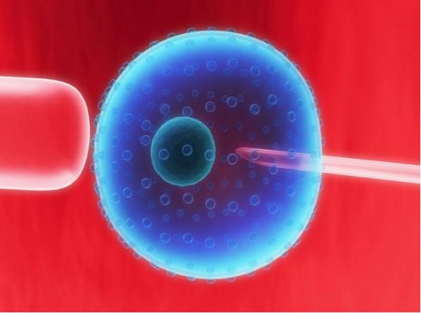 История развития ЭКО