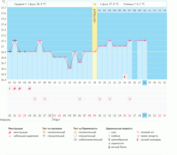 график не определил овуляцию