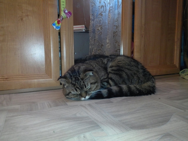 Плюша)