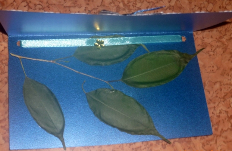 Моя посылочка  СЧАСТЬЯ!!!Анютка СПАСИБО БОЛЬШОЕ!!!!