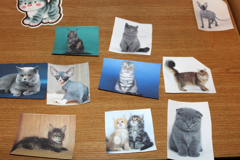 Отчет по мини-ТН