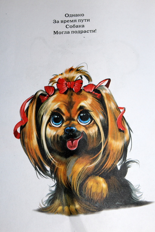 Отчет по мини-ТН