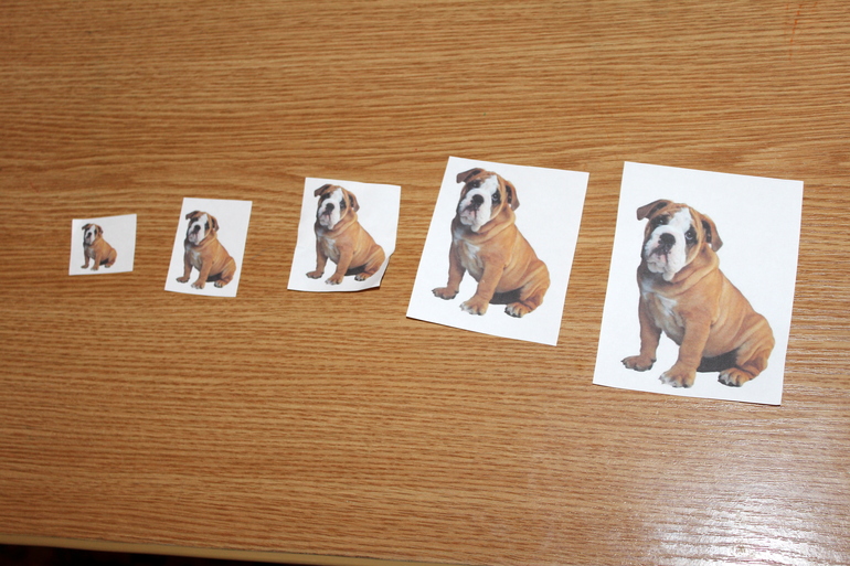 Отчет по мини-ТН