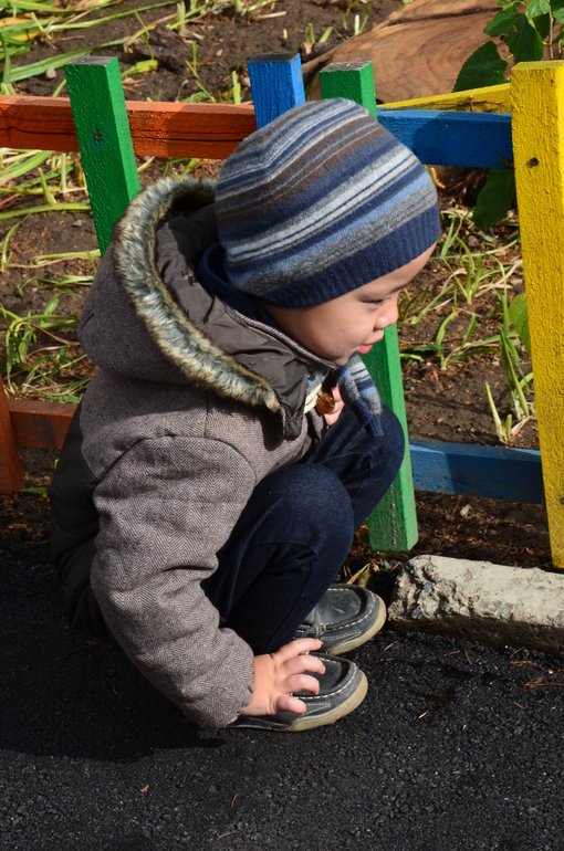 Золотая осень)))