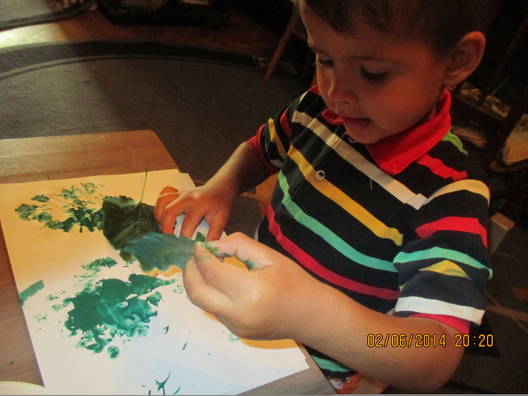 ТЗ  ДЕРЕВЬЯ   ГУЛЯЕМ-ИЗУЧАЕМ!!!