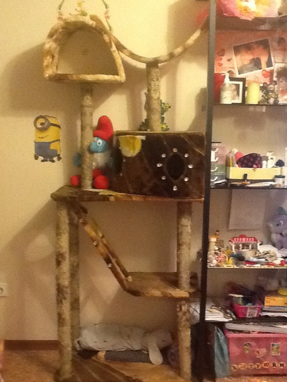 Когтеточка))