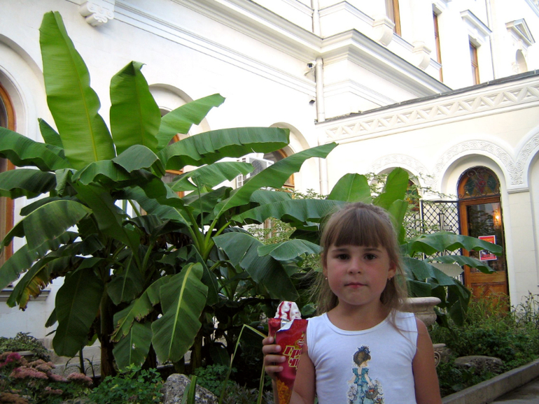 Ливадия. Ласточкино гнездо.