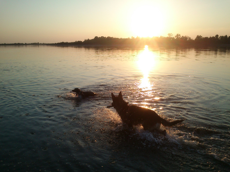 поход на речку