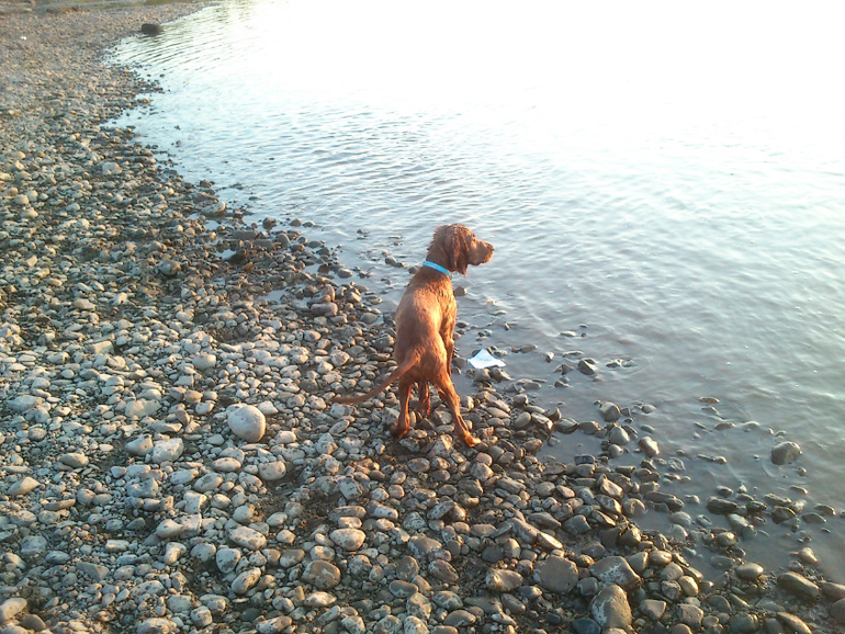 поход на речку