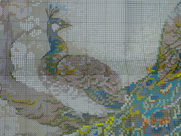 радость хомки