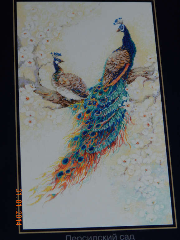 радость хомки