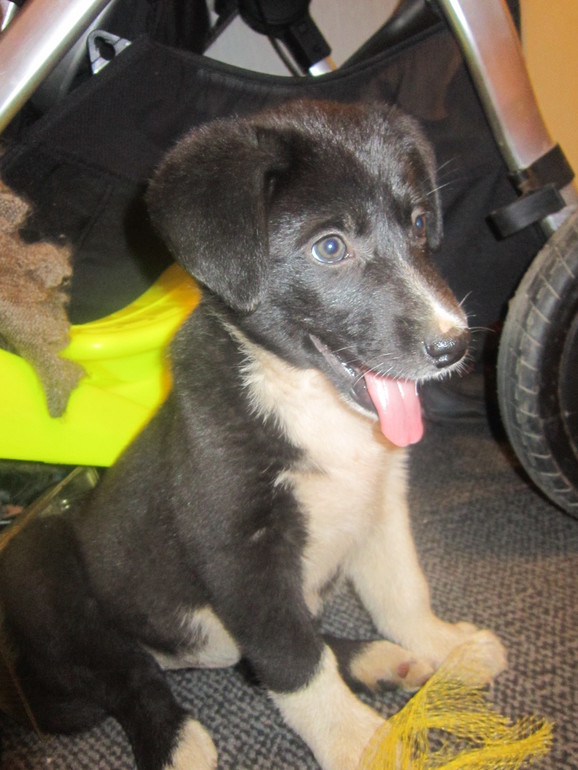 Сокровенное..