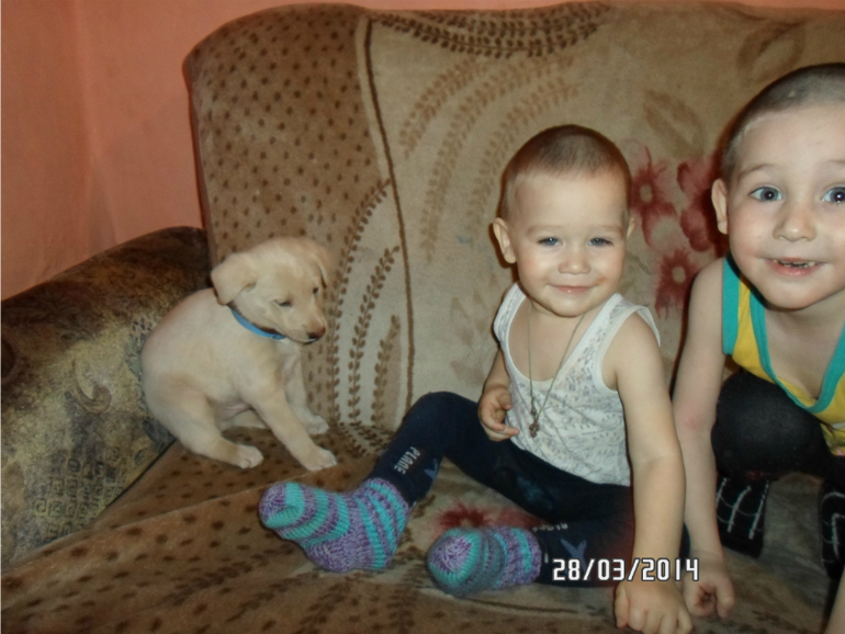 Голубоглазое чудо