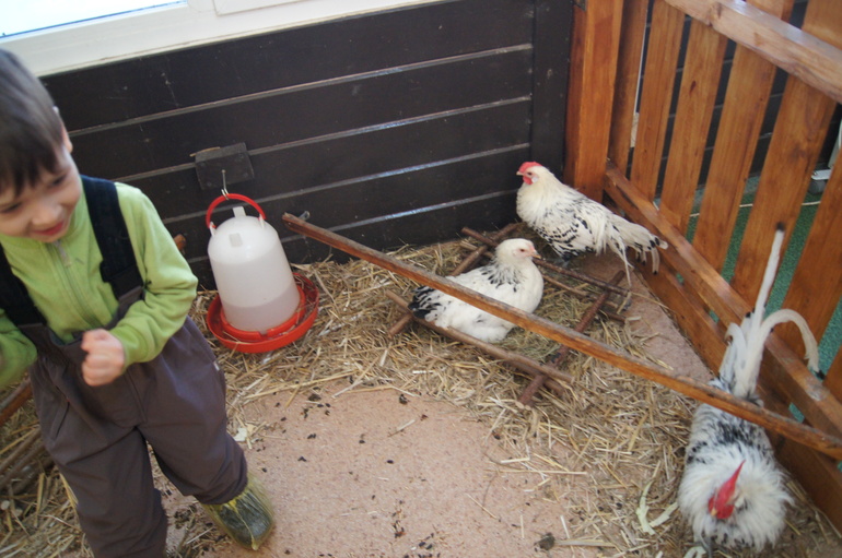 Масленица и мартовские праздники.