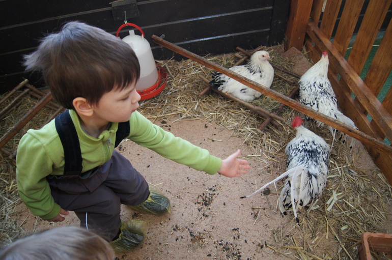 Масленица и мартовские праздники.