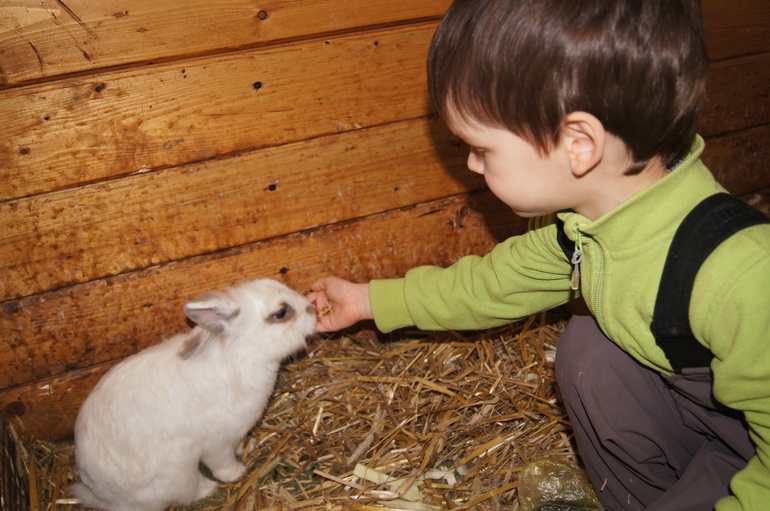 Масленица и мартовские праздники.