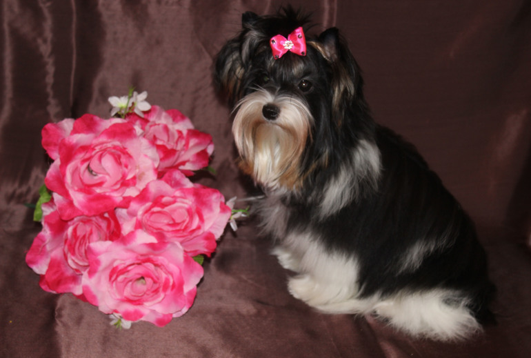 Моя девочка 8 мес