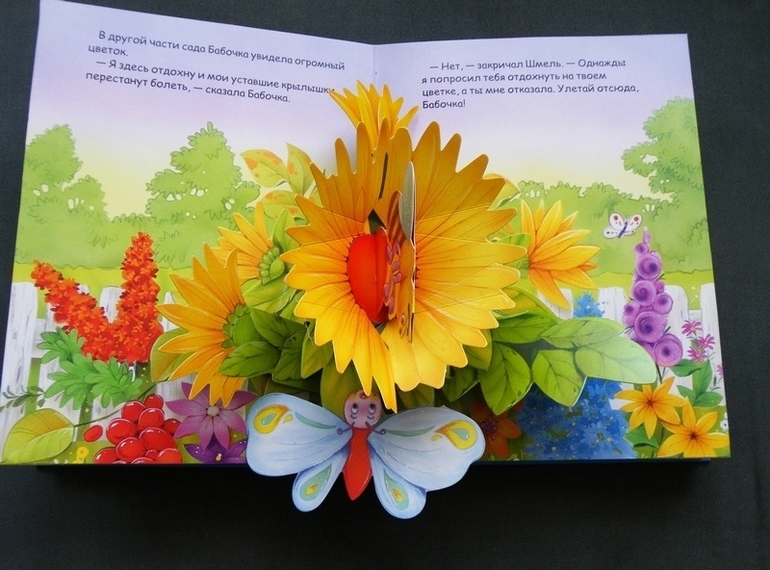 Первое пополнение лета