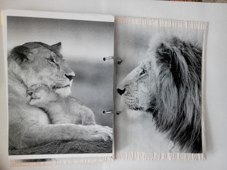 Мой первый блокнот на кольцах