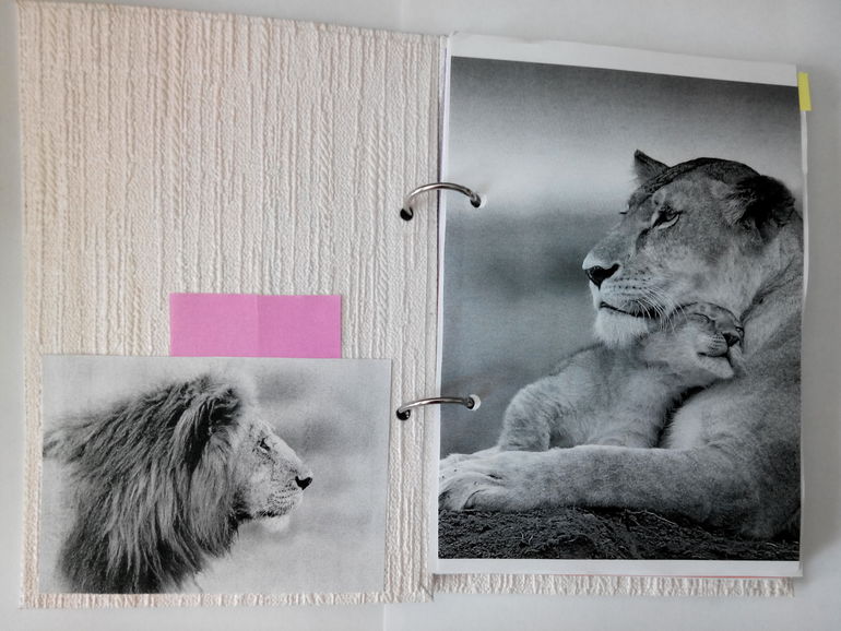 Мой первый блокнот на кольцах