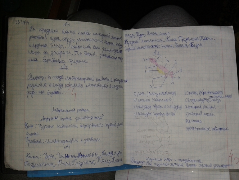 Есть у кого круче?