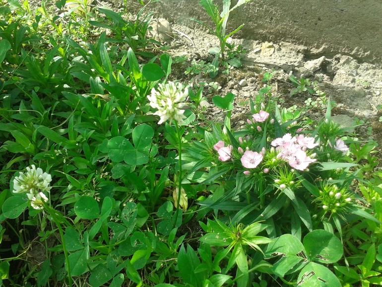 Чуть -чуть фоток