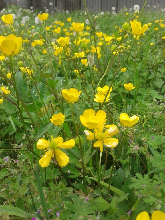 Чуть -чуть фоток