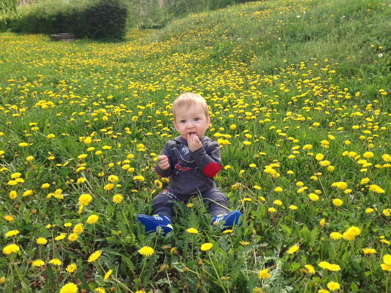 Прекрасная весна!!!