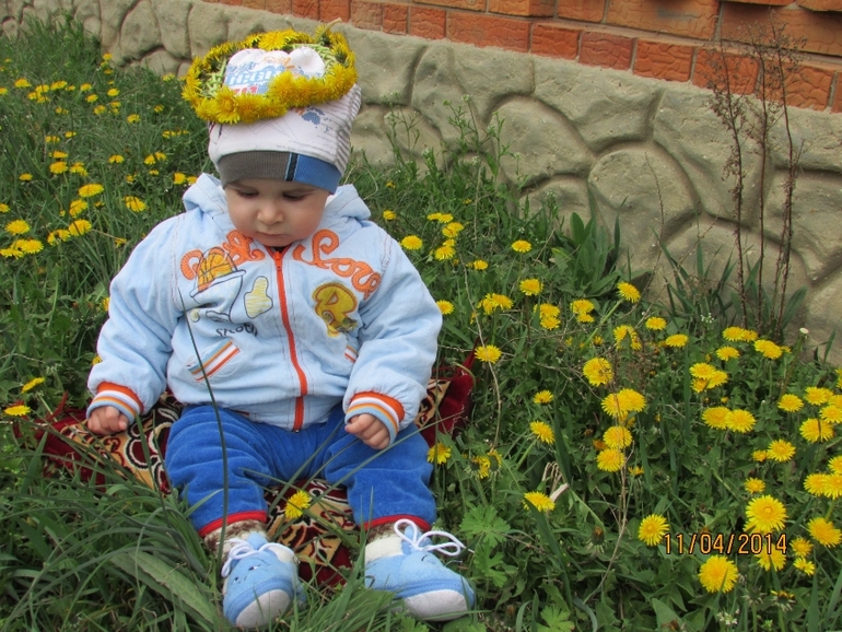 Весна как она есть...или день Одуванчиков...Мишаня 8 месяцев