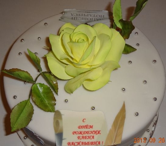 ДЛЯ ДЕВУШКИ-НОТАРИУСА