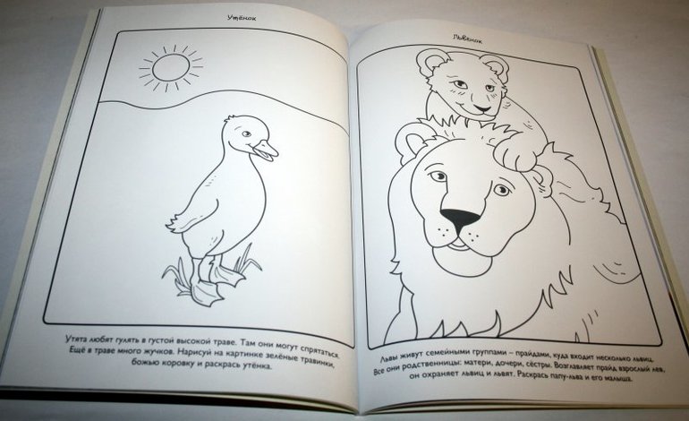 наше пополнение 2014