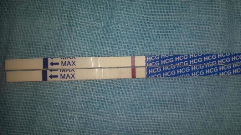 фото ФРАУ тест ПОДОНОК