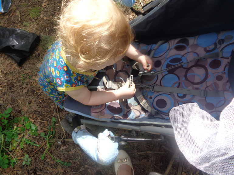 Гуляли в лесу