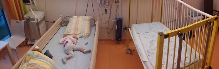 Мы вернулись домой