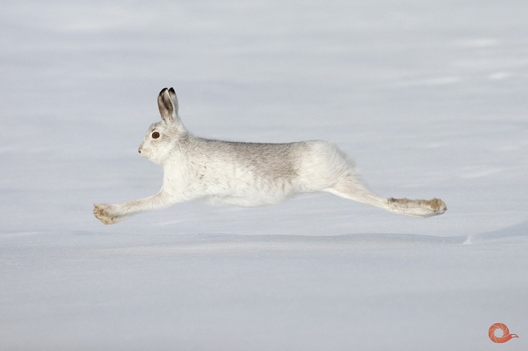 Кто куда? Фестиваль