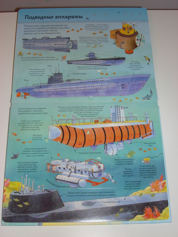 Робинс окошки