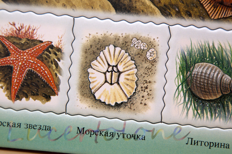 На всё готовенькое. ТН