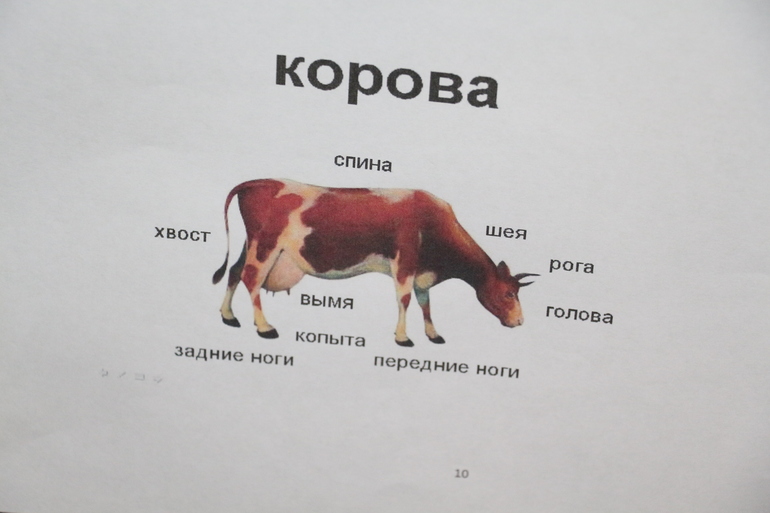 Отчет №1