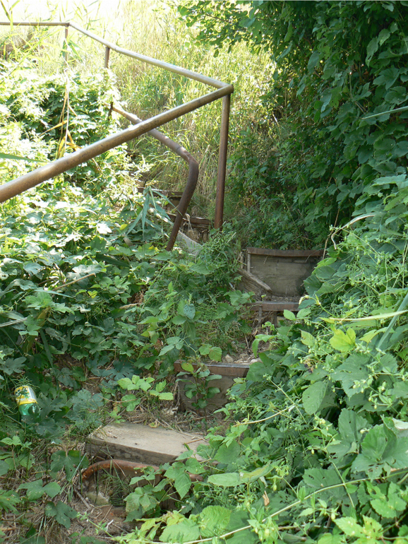 Мишка и Альтаир.