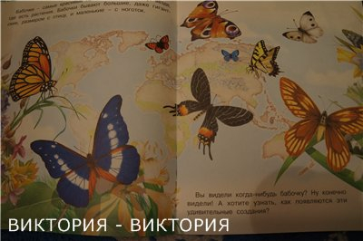 Конкурсы гусеница кто это Конкурсы гусеница кто это